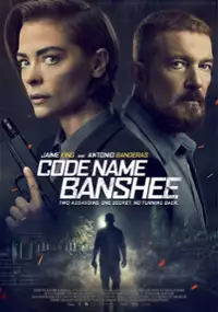 Plakat filmu Kryptonim Banshee