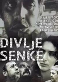 Plakat filmu Divlje seme
