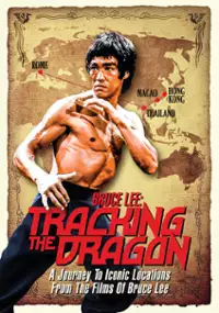 Plakat filmu Bruce Lee: In Pursuit of the Dragon