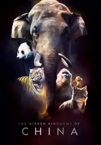 Plakat filmu Chiny: ukryte kr&oacute;lestwa
