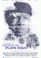 plakat filmu Hiding in Plain Sight