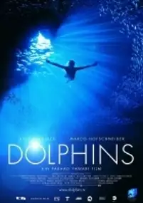 Plakat filmu Dolphins