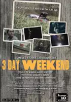 plakat filmu 3 Day Weekend