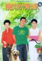 plakat filmu Chung muk ching yuen