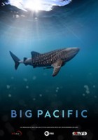 plakat filmu Big Pacific