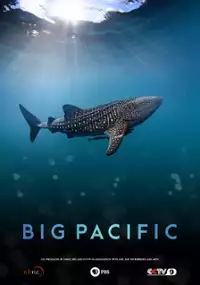 Plakat serialu Big Pacific
