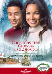 Plakat filmu A Christmas Tree Grows in Colorado