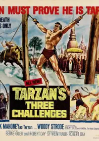 Plakat filmu Tarzan's Three Challenges