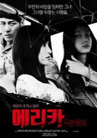 Plakat filmu E-ri-ka: Pu-reun Bul-kkot