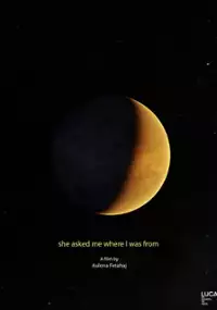 Plakat filmu She Asked Me Where I Was From