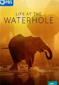 Plakat serialu Life at the Waterhole