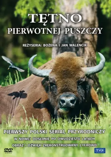 plakat filmu Tętno pierwotnej puszczy