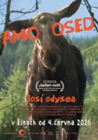 Marek Bih&uacute;ň / Amoosed: Los&iacute; odysea