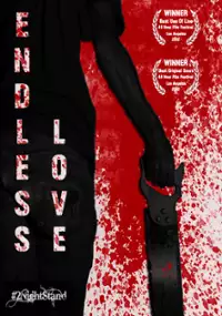 Plakat filmu Endless Love