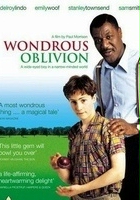 plakat filmu Wondrous Oblivion
