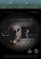 plakat filmu A Vida Invisível
