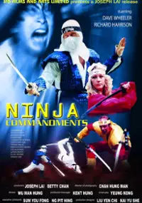 Plakat filmu Ninja Commandments