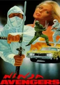 Plakat filmu Ninja Avengers