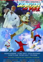 plakat filmu Ninja Avengers