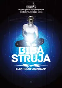 Plakat filmu Biba struja