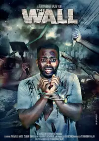 Plakat filmu The Wall