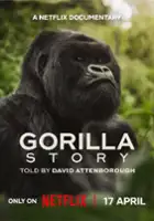 plakat filmu David Attenborough: Opowieść o gorylach