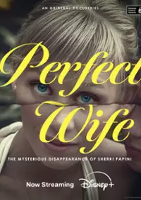 Plakat serialu Perfect Wife: The Mysterious Disappearance of Sherri Papini