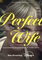 plakat serialu Perfect Wife: The Mysterious Disappearance of Sherri Papini