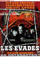 Antonetti / Zbiegowie