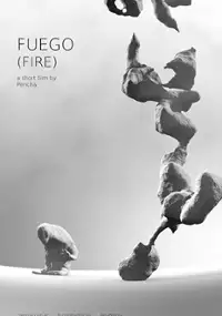Plakat filmu Fuego