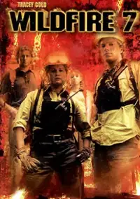 Plakat filmu W piekle płomieni