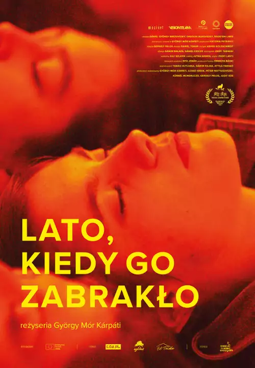 plakat filmu Lato, kiedy go zabrakło