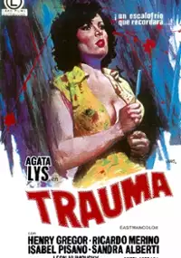 Plakat filmu Violación fatal