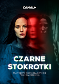 Plakat serialu Czarne stokrotki