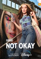 plakat filmu Not Okay