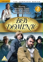 plakat filmu Boy Dominic