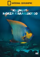 plakat filmu Klejnoty Morza Karaibskiego