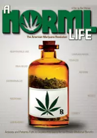 Plakat filmu A Norml Life