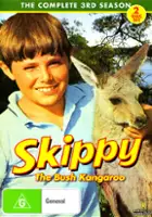 plakat serialu Skippy