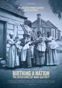 Plakat filmu Birthing A Nation: The Resistance of Mary Gaffney