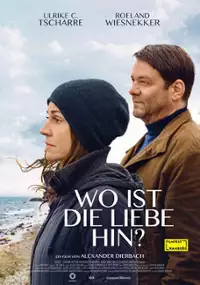 Plakat filmu Gdzie podziała się miłość?