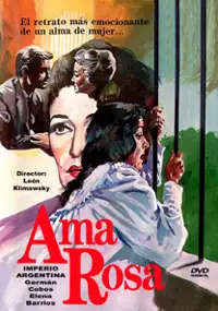 Plakat filmu Ama Rosa