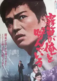 Plakat filmu Muteki ga ore o yondeiru