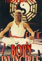 plakat filmu Tai ji qi gong