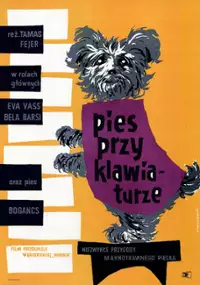 Plakat filmu Pies przy klawiaturze