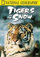 plakat filmu Śnieżne tygrysy