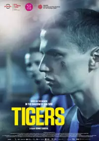 Plakat filmu Tygrysy