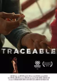 Plakat filmu Traceable