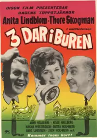 Plakat filmu Tre dar i buren