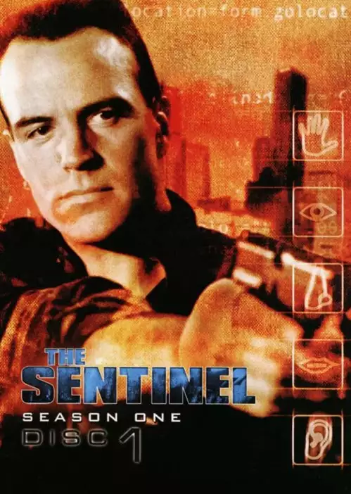 plakat filmu Gliniarz z dżungli